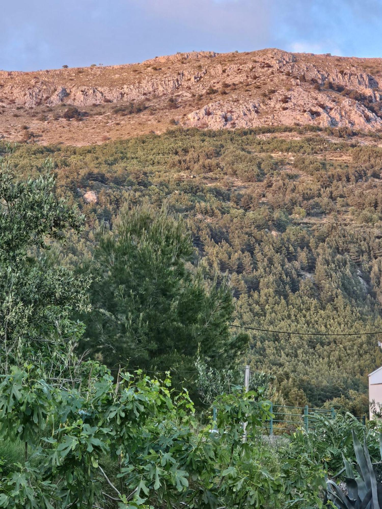 Villa Bravo Podstrana Zewnętrze zdjęcie