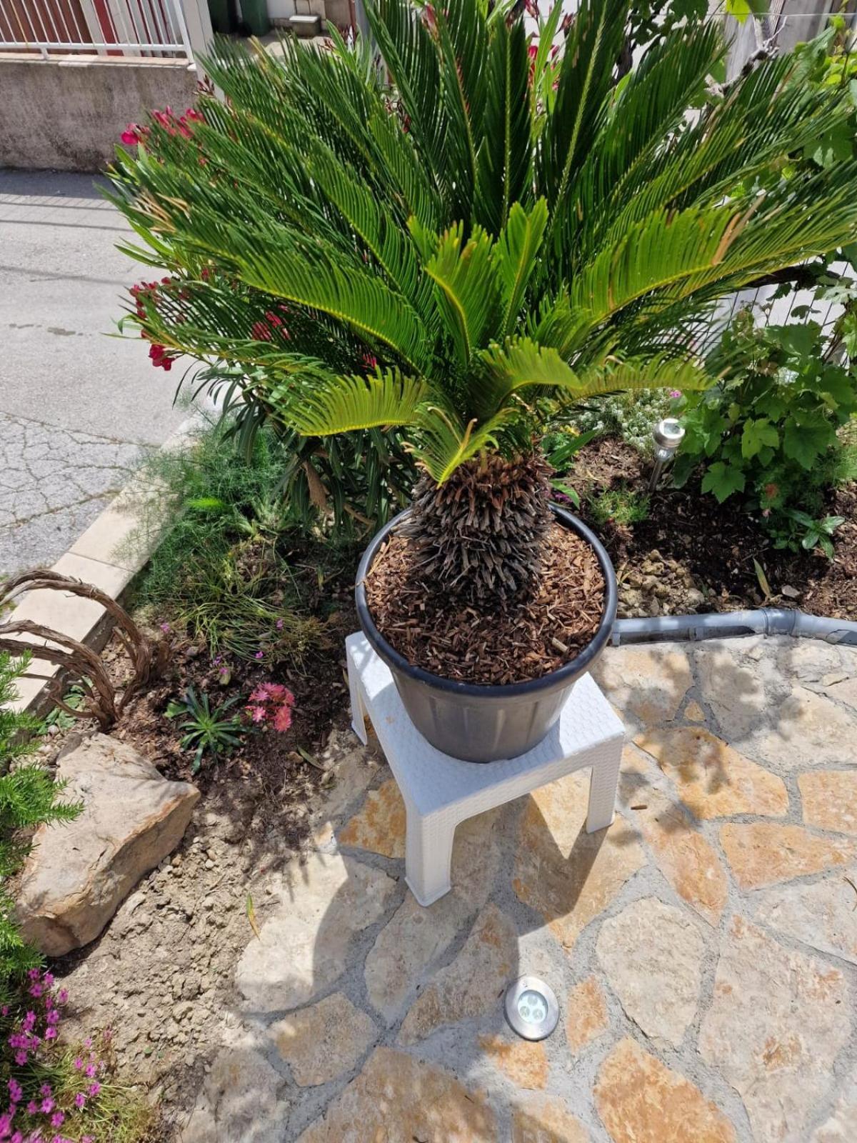 Villa Bravo Podstrana Zewnętrze zdjęcie